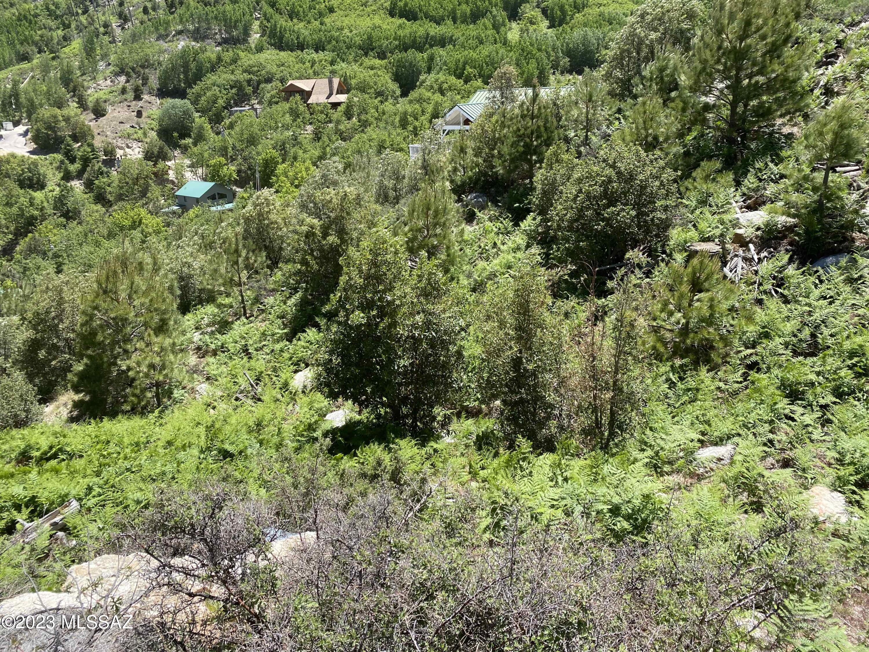 11162 East Upper Goat Hill Road Mount Lemmon, AZ 85619 - Photo 2 of 6