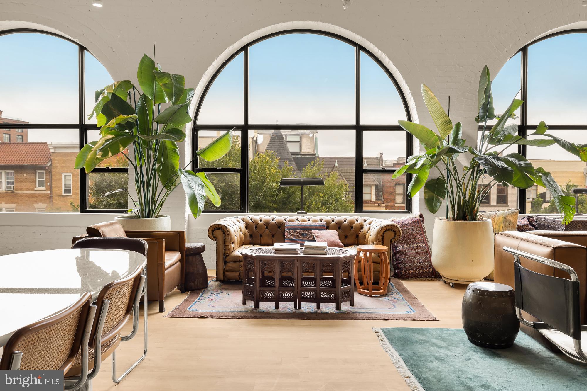 2424 18th Street Northwest, Unit R1 Washington, DC 20009 - Photo 8 of 24 a living room with fireplace furniture and a potted plant