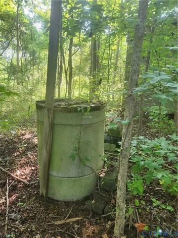 a view of fountain in the forest