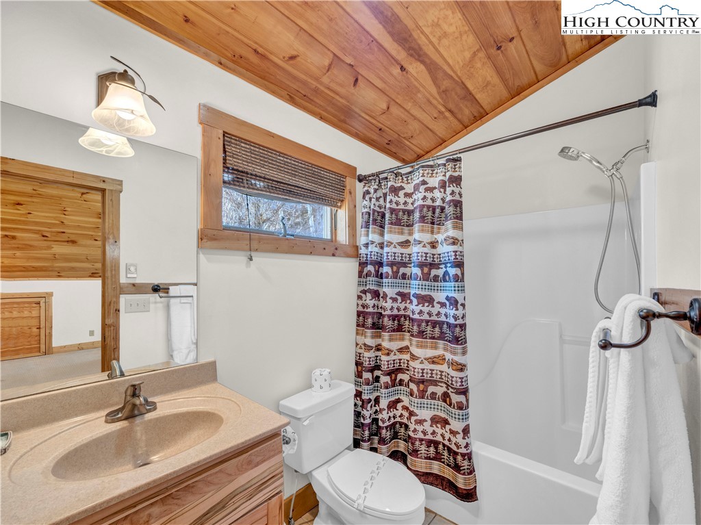 138 Hawthorn Road Beech Mountain, NC 28604 - Photo 33 of 47