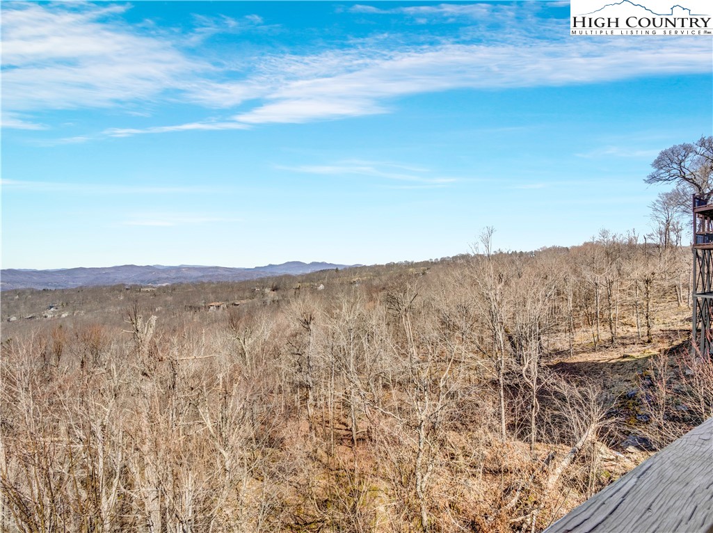 138 Hawthorn Road Beech Mountain, NC 28604 - Photo 5 of 47