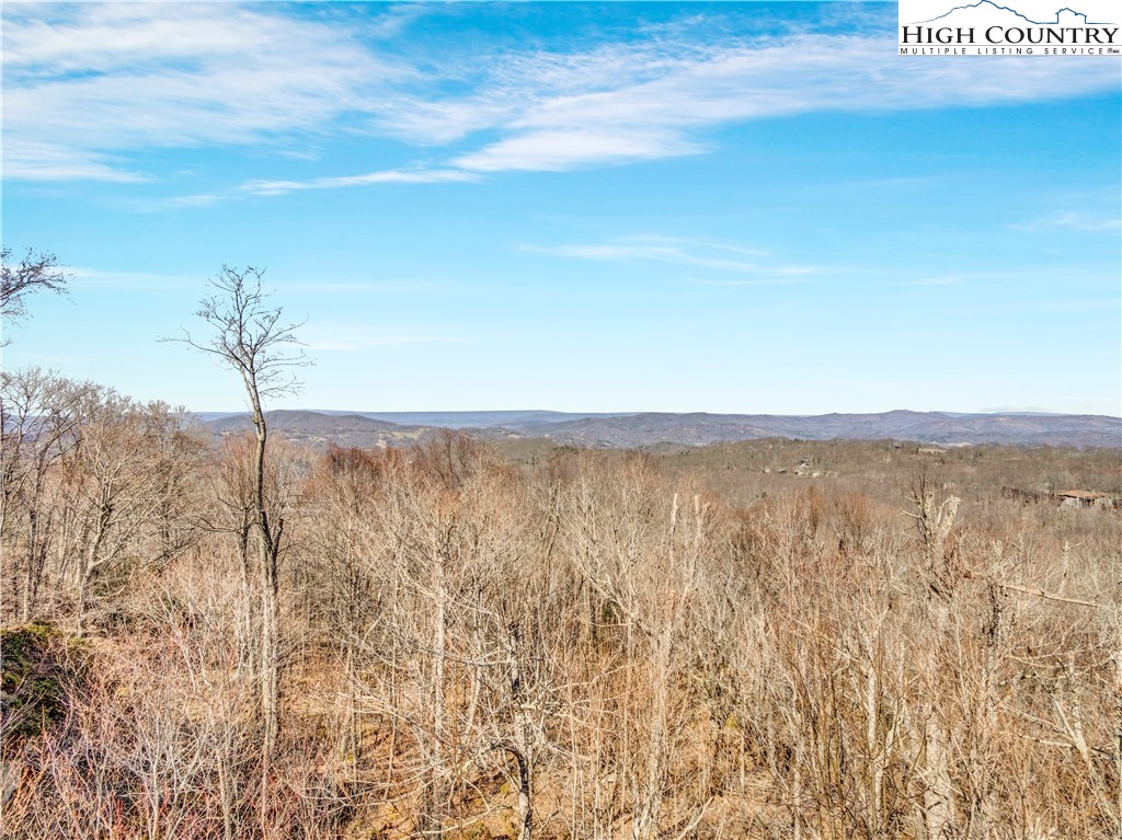 138 Hawthorn Road Beech Mountain, NC 28604 - Photo 6 of 47