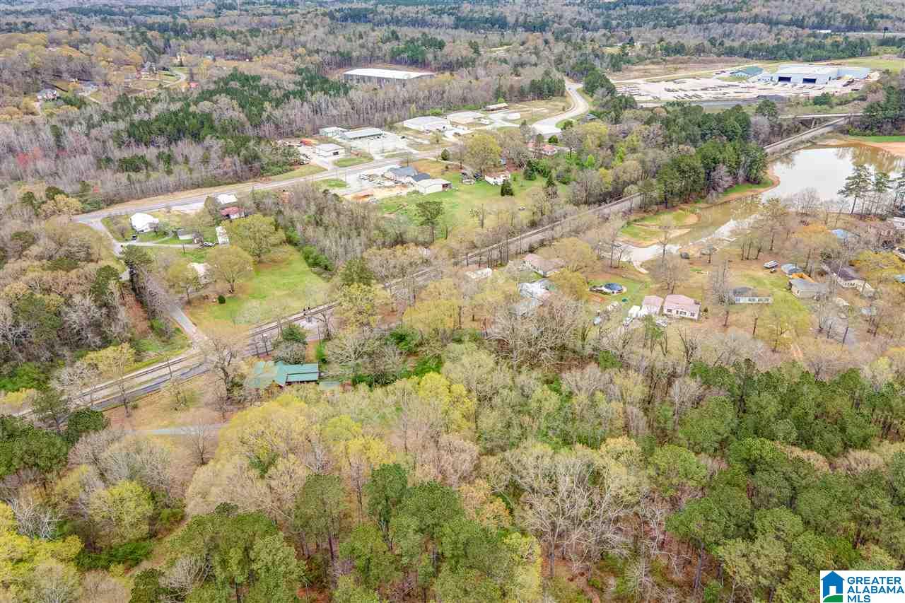 35 Frazier Road Riverside, AL 35135 - Photo 36 of 43