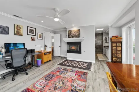 a outdoor space with lots of palm trees