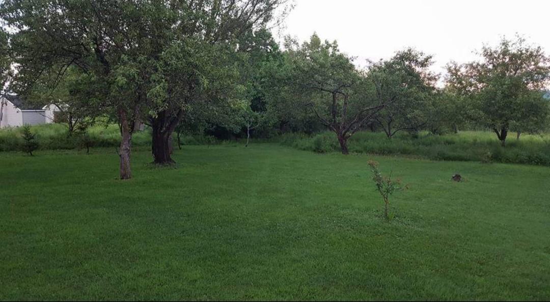 242 Goshen Road Winterport, ME 04496 - Photo 9 of 30 lawn summer