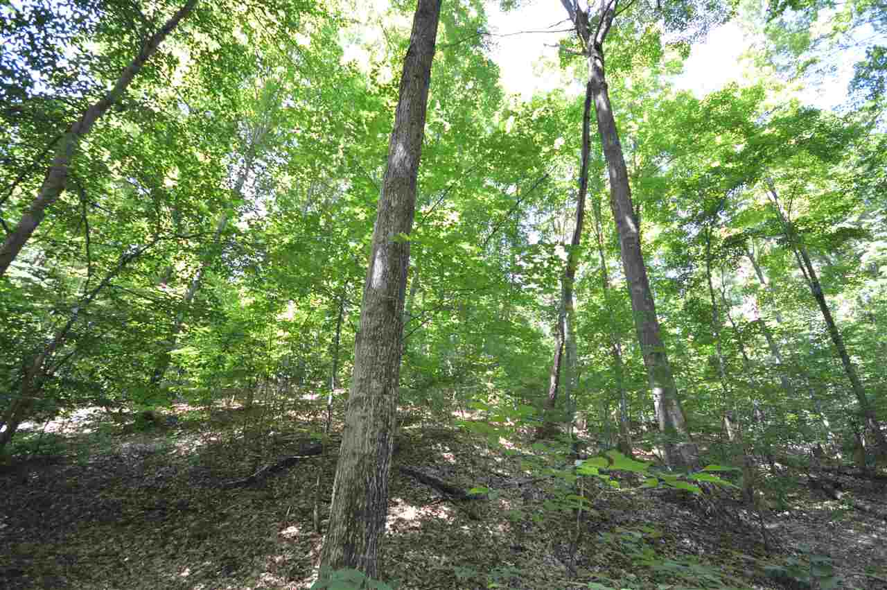 504 West Ryant Road Maple City, MI 49664 - Photo 36 of 38 1890619-35.JPG