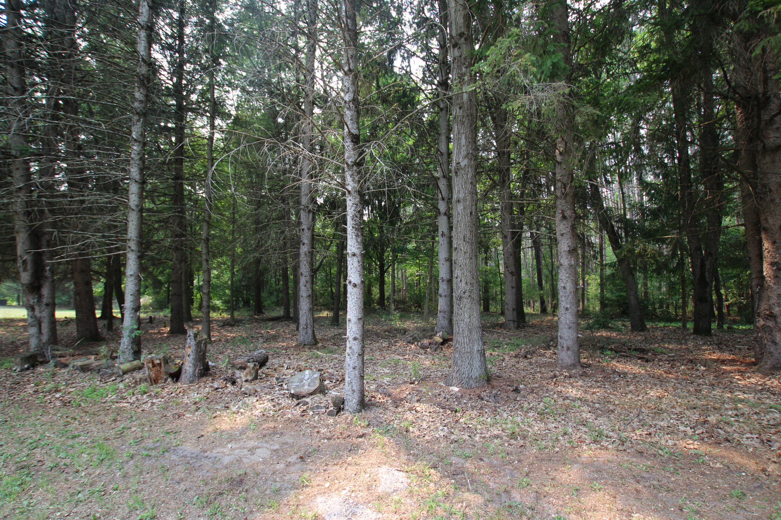 8023 East Garfield Road Hesperia, MI 49421 - Photo 16 of 27 IMG_2413