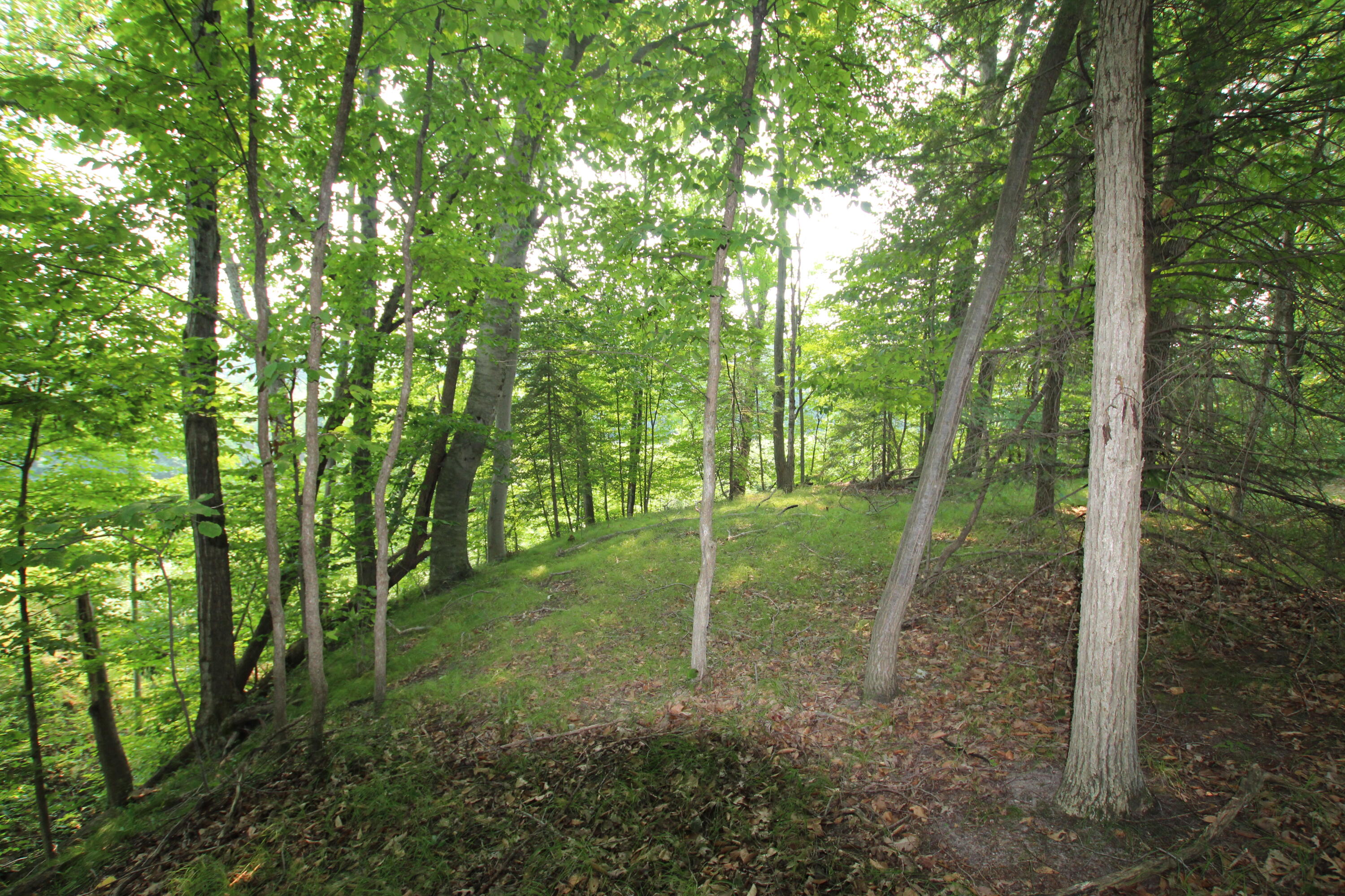 8023 East Garfield Road Hesperia, MI 49421 - Photo 25 of 27 IMG_2425