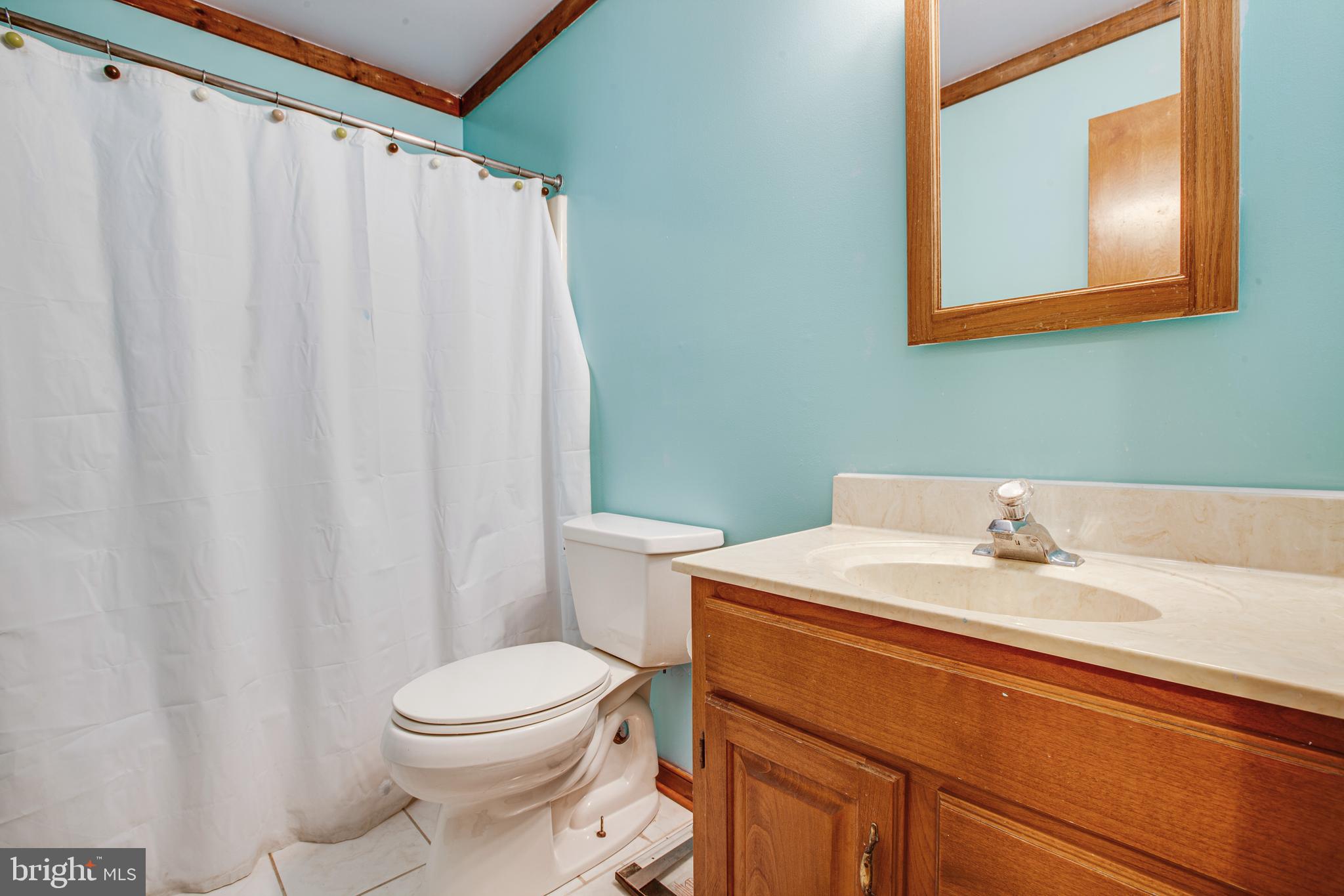 4780 Jericho Road Ruther Glen, VA 22546 - Photo 19 of 33 Hall bathroom