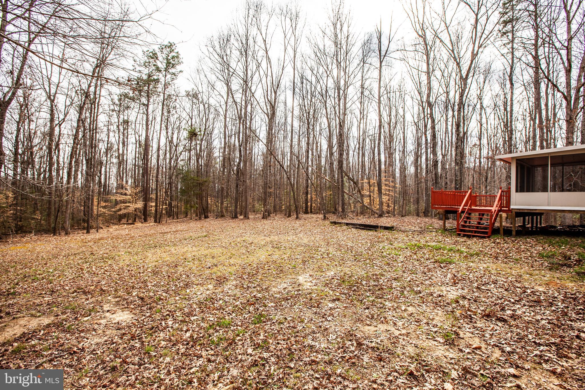 4780 Jericho Road Ruther Glen, VA 22546 - Photo 30 of 33 Large backyard