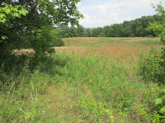 Lot 2 Mt Carmel Road Decatur, TN 37322 - Photo 1 of 2 1