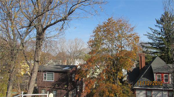 31 Howland Street Boston, MA 02121 - Photo 3 of 4 a view of house with a trees