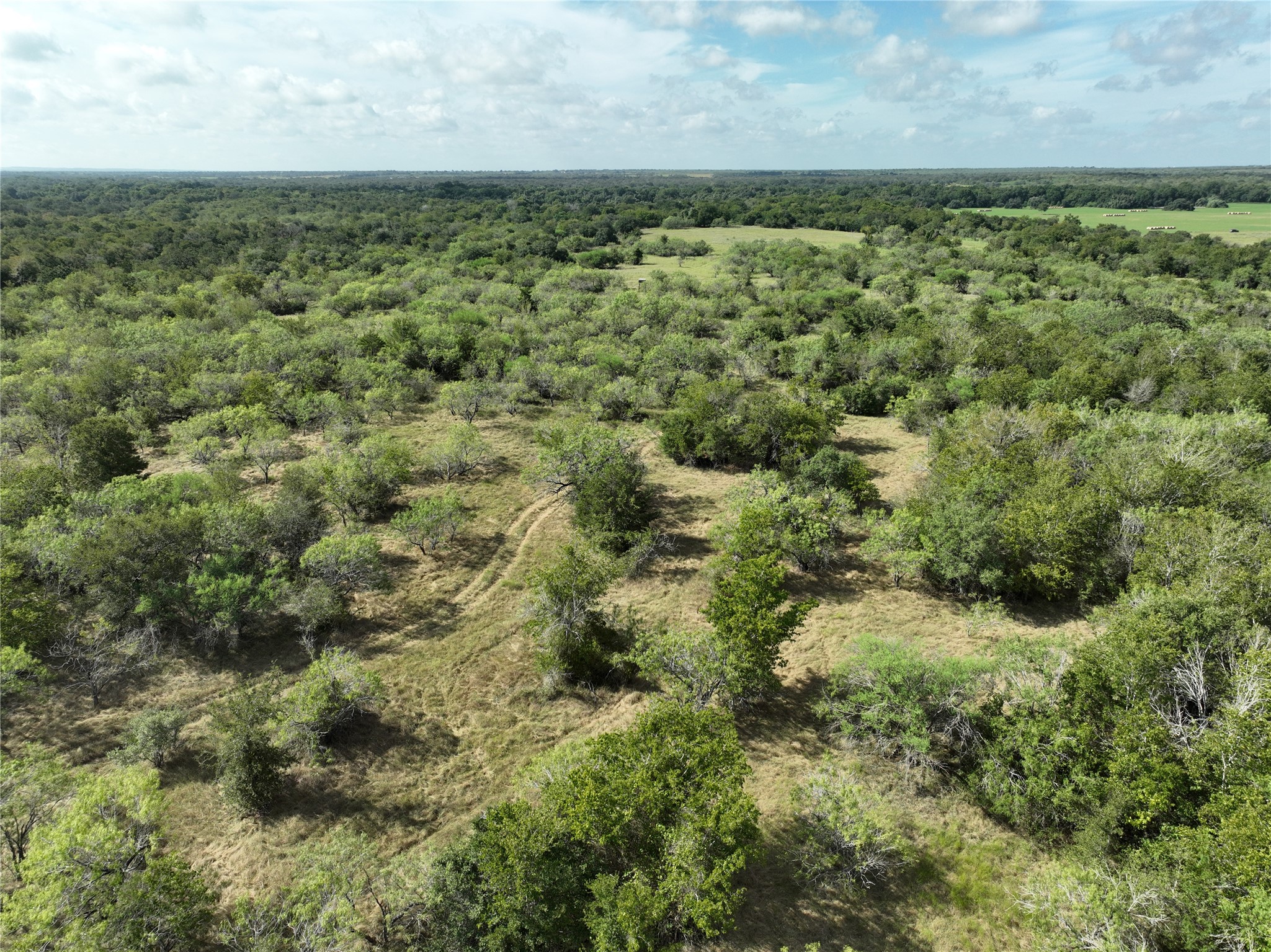 424 Rd Waelder Tx 78629 Road Waelder, TX 78959 - Photo 2 of 6