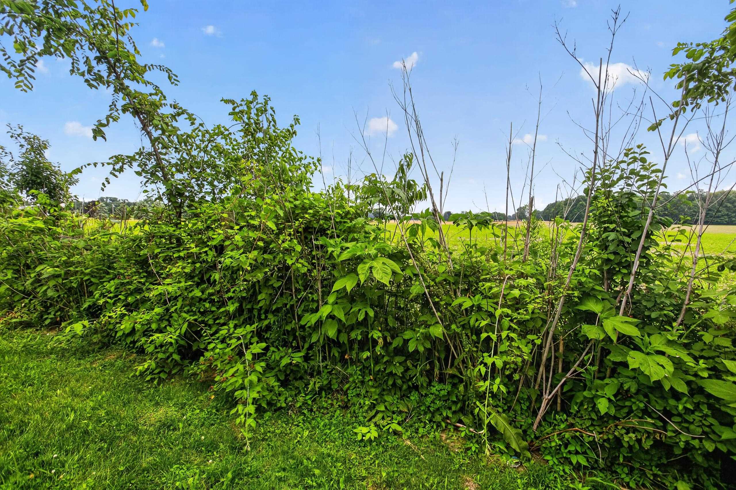 4395 South Grove Road St. Johns, MI 48879 - Photo 81 of 84