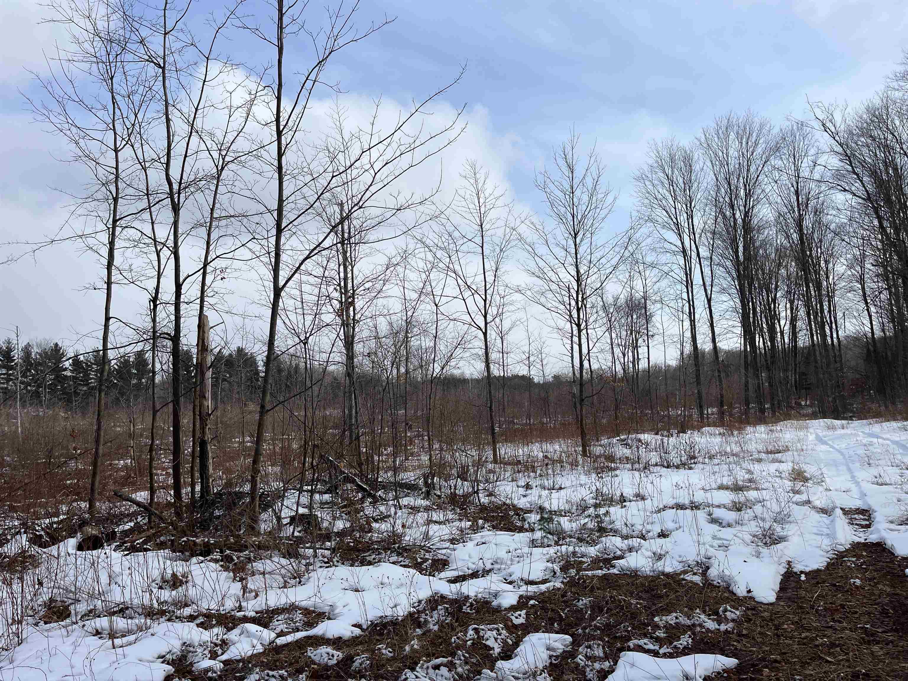 3 King Road, Unit LOT: 3 Benzonia, MI 49616 - Photo 12 of 14