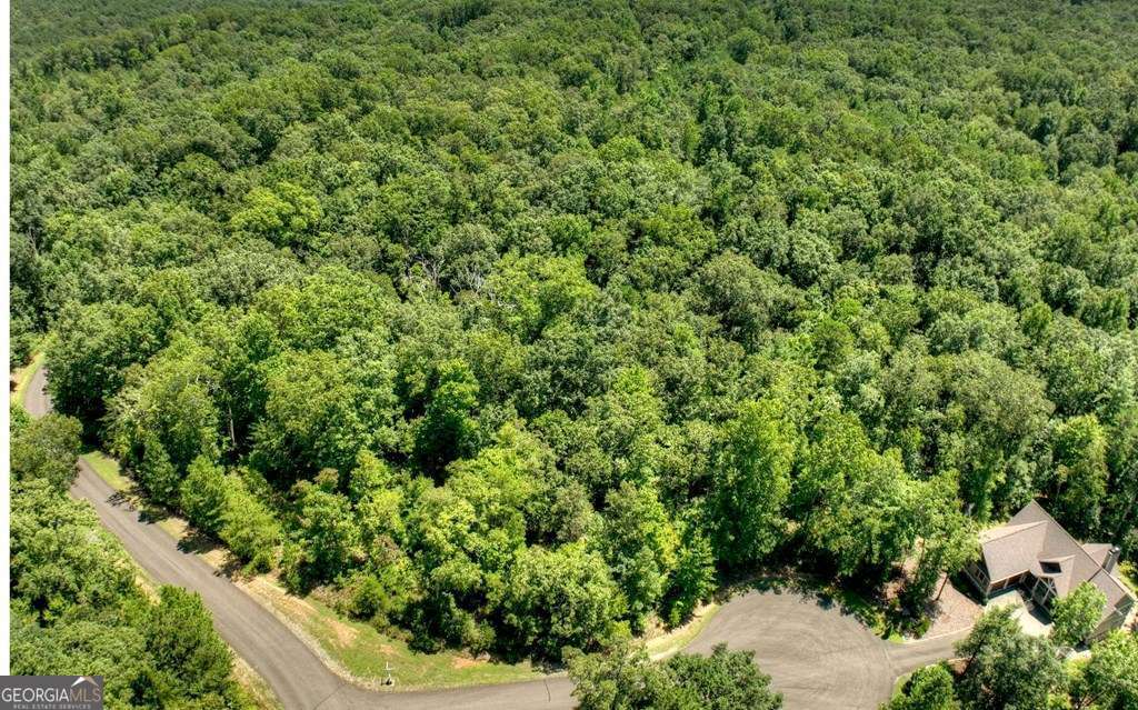 139 Whispering Ridge Court, Unit 139 Ellijay, GA 30540 - Photo 16 of 30