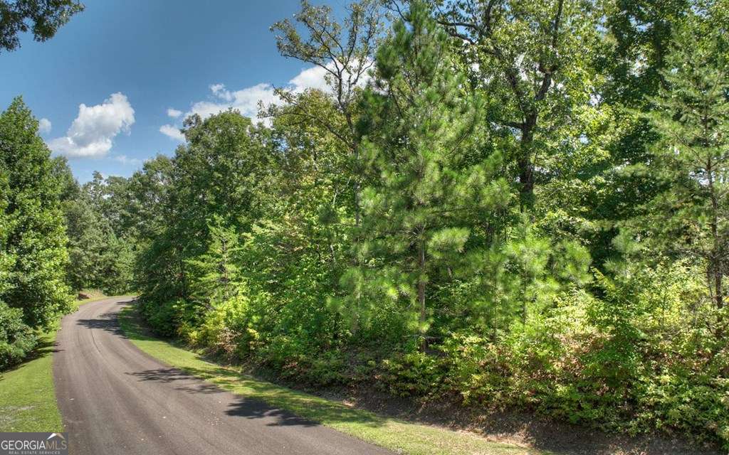 139 Whispering Ridge Court, Unit 139 Ellijay, GA 30540 - Photo 6 of 30