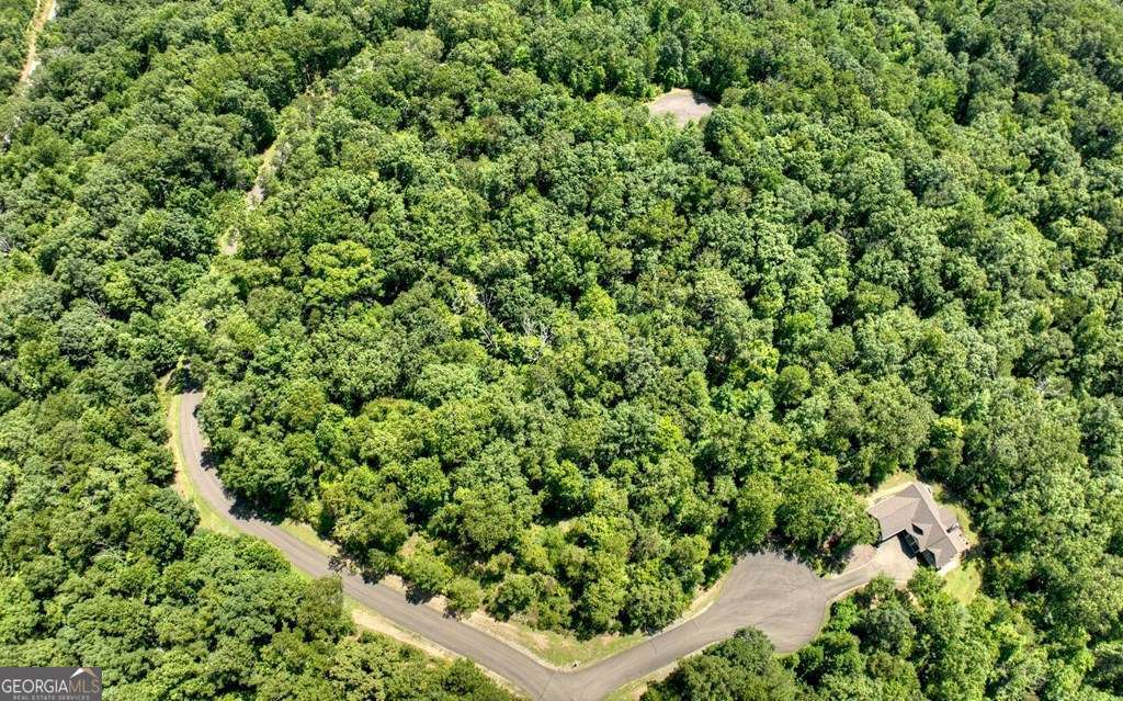 139 Whispering Ridge Court, Unit 139 Ellijay, GA 30540 - Photo 8 of 30