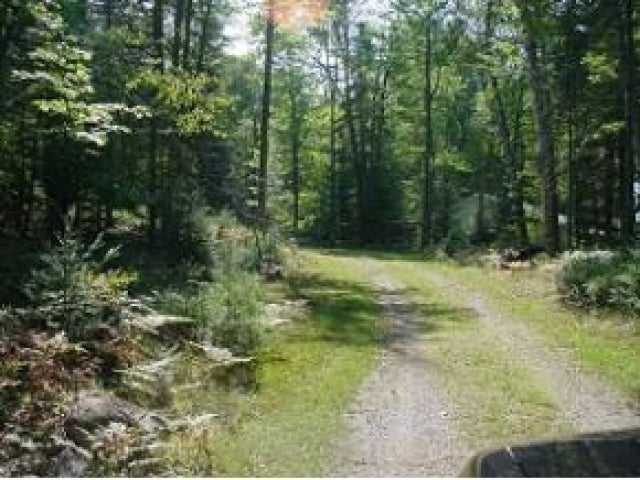 5269 Forest Lane Rhinelander, WI 54501 - Photo 11 of 14 Gallery Image 11