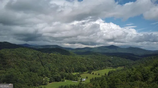 a view of a bunch of trees