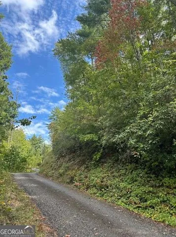 a view of outdoor space with trees all around