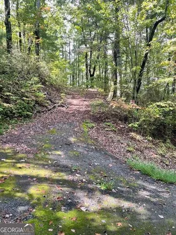 a view of a city and mountains