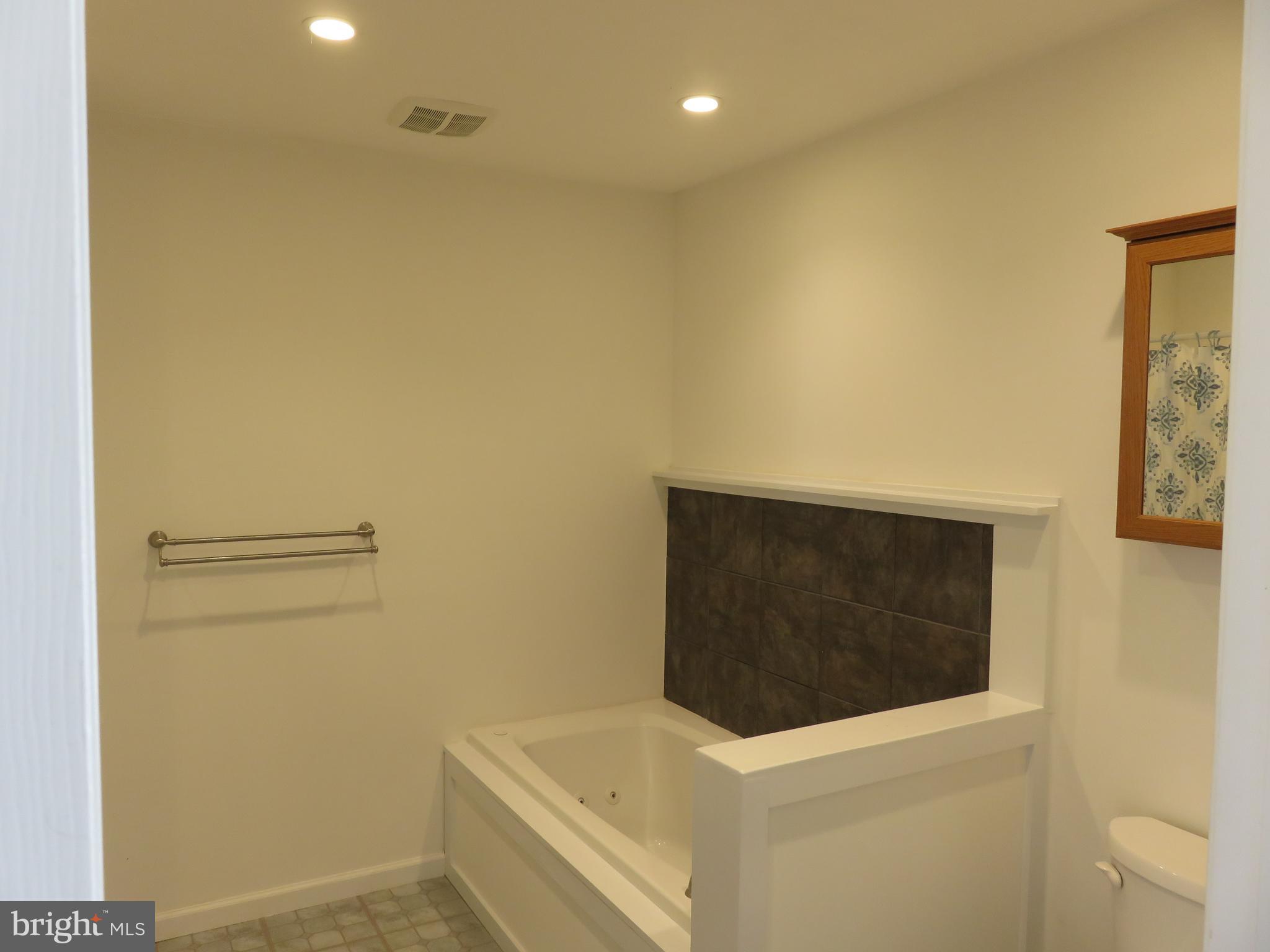 27 Bridle Ridge Circle Lewes, DE 19958 - Photo 32 of 58 Jetted tub in primary bath