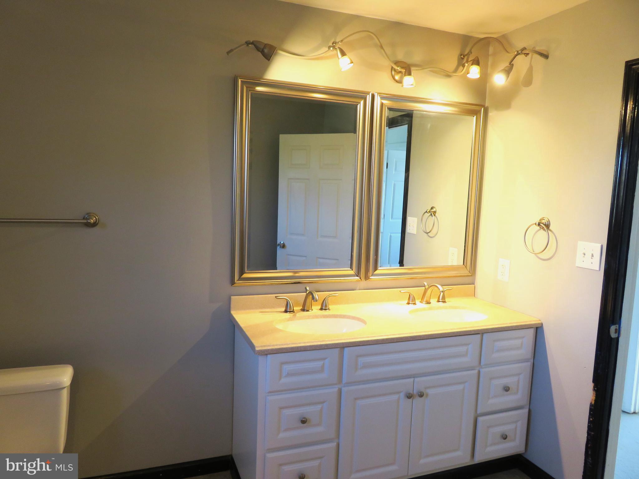 27 Bridle Ridge Circle Lewes, DE 19958 - Photo 49 of 58 Double vanity in ha bath