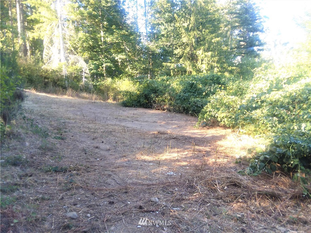 670 East Underline Road Belfair, WA 98528 - Photo 17 of 18