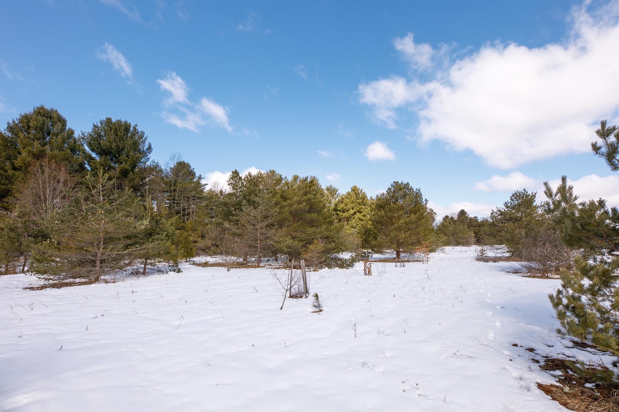 16662 Rudman Road Thompsonville, MI 49683 - Photo 53 of 58