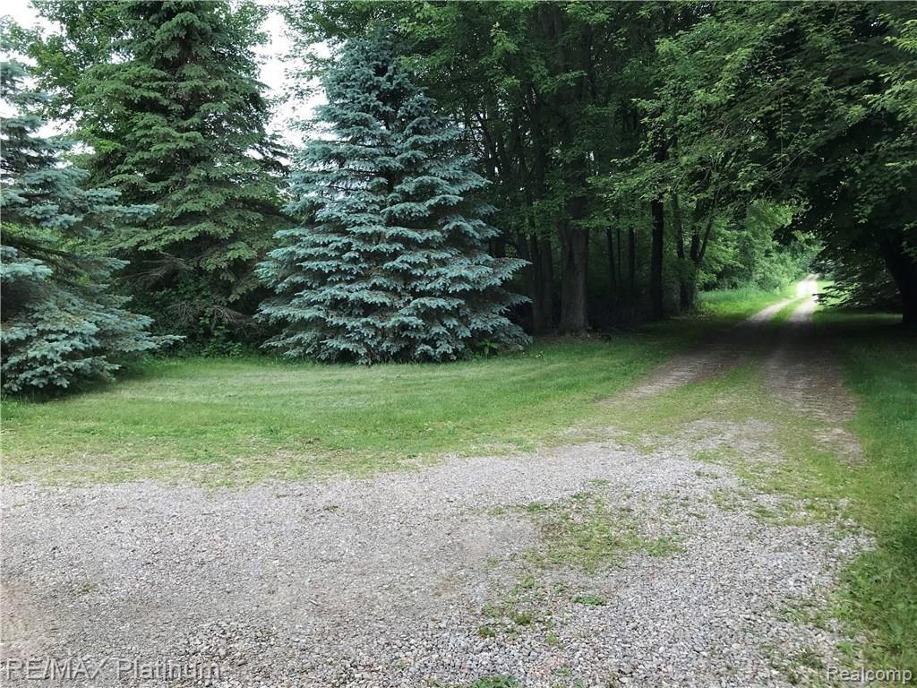 Private Drive Lined with Fabulous Trees