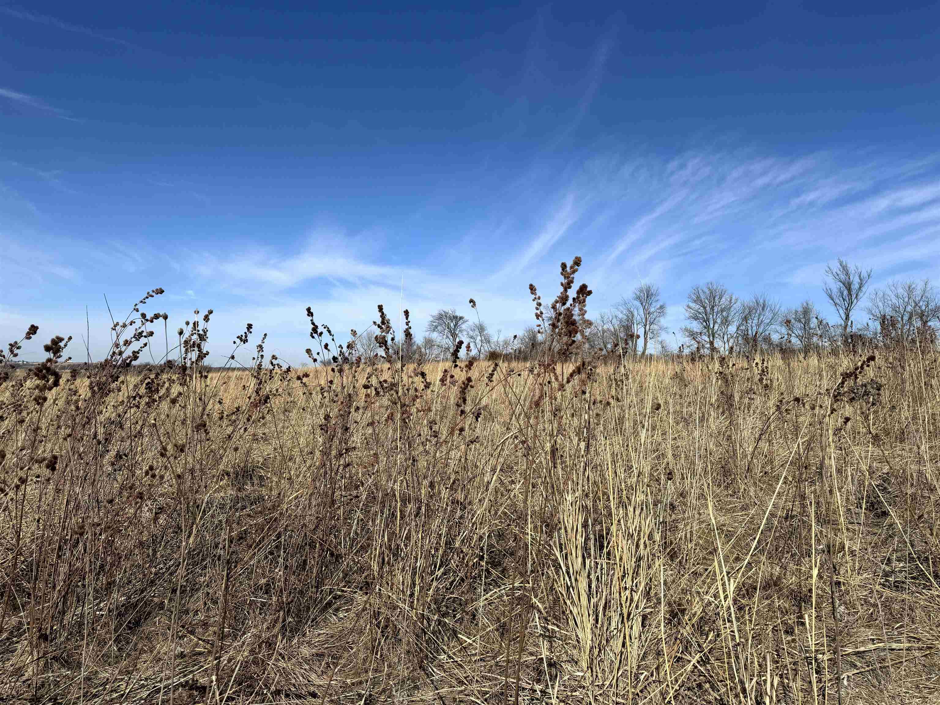 4989 North Ford Road Scales Mound, IL 61075 - Photo 50 of 93