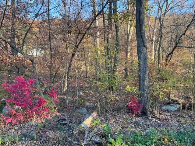 $14,999 | 9 Old Woodland Trail, Oak Ridge, NJ 07438