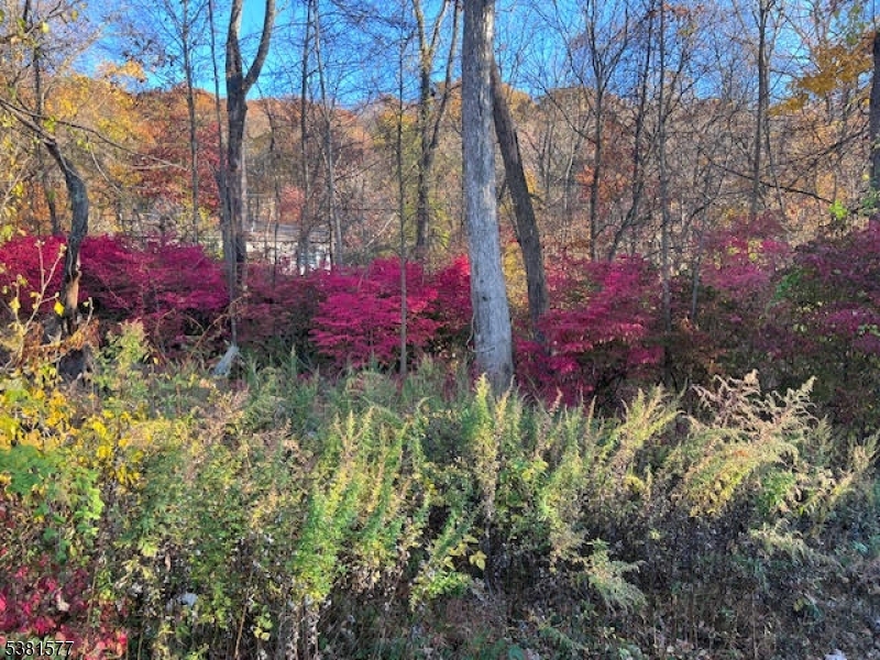 9 Old Woodland Trail Oak Ridge, NJ 07438 - Photo 2 of 11