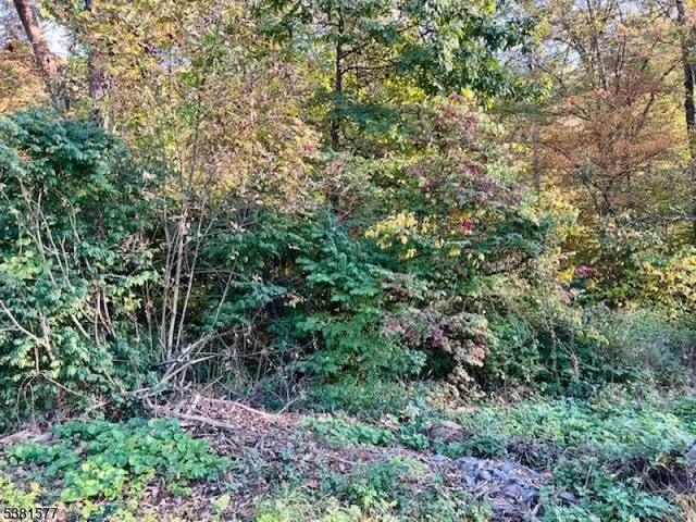 $39,000 | 9 Old Woodland Trail, Oak Ridge, NJ 07438