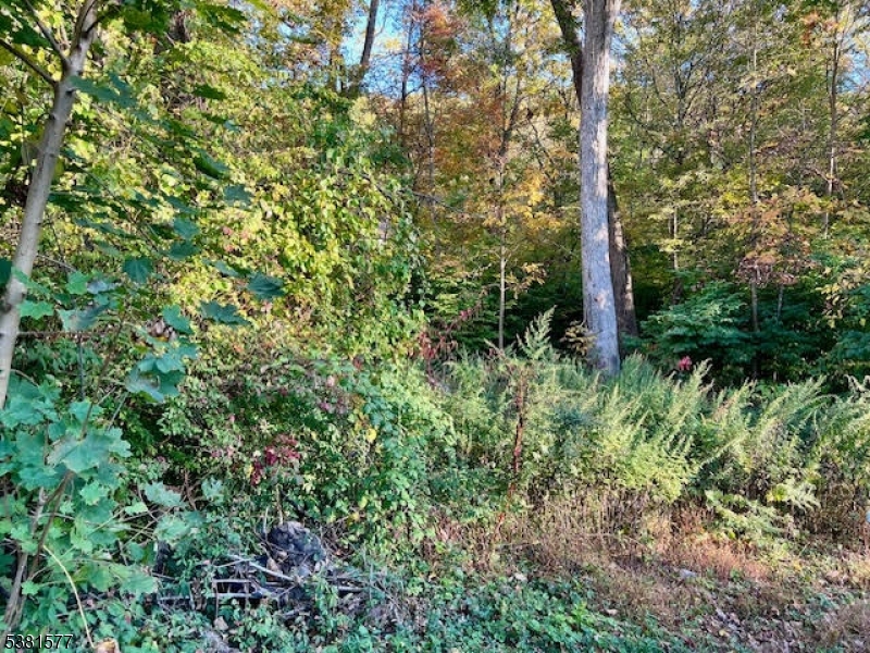 9 Old Woodland Trail Oak Ridge, NJ 07438 - Photo 5 of 11