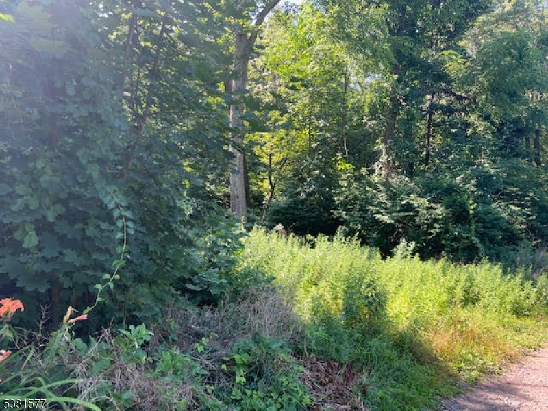 9 Old Woodland Trail Oak Ridge, NJ 07438 - Photo 6 of 11