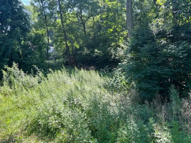 $39,000 | 9 Old Woodland Trail, Oak Ridge, NJ 07438