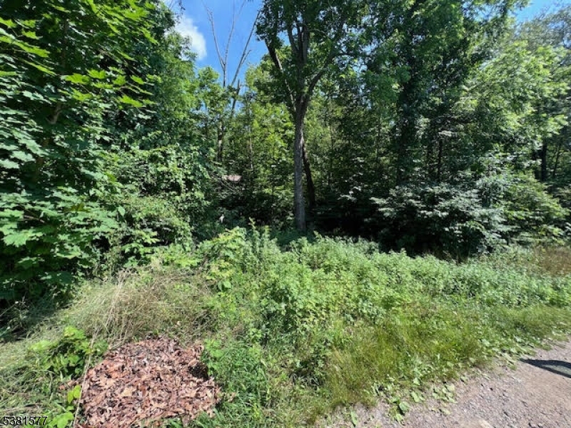 9 Old Woodland Trail Oak Ridge, NJ 07438 - Photo 10 of 11