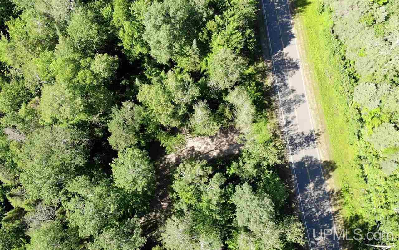 Tbd1 Dog Patch Road, Unit LOT H Lanse, MI 49946 - Photo 8 of 24 Gallery Image 8