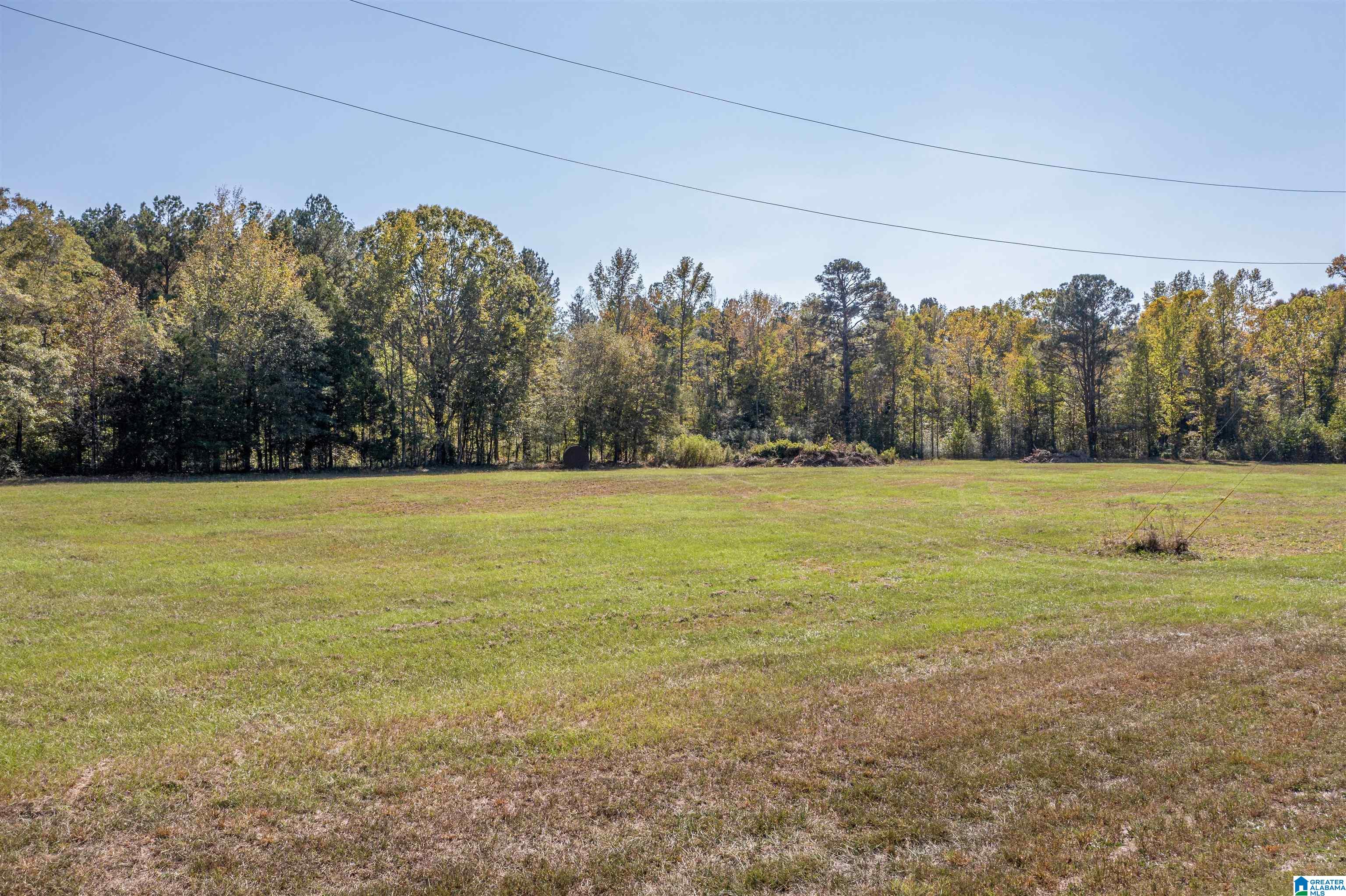 0 Roy Webb Road Jacksonville, AL 36265 - Photo 2 of 15