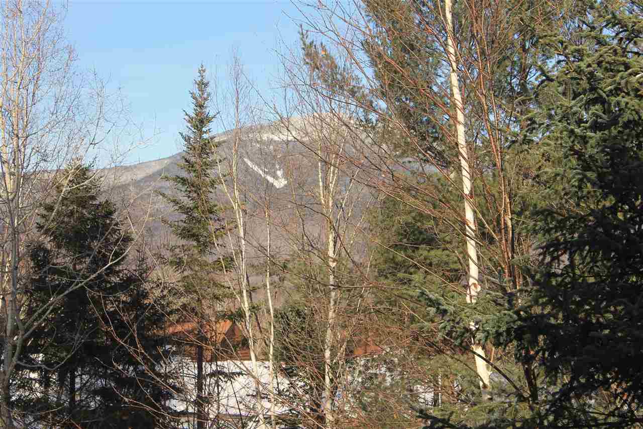 77 Noon Peak Road Waterville Valley, NH 03215 - Photo 8 of 26 Gallery Image 8
