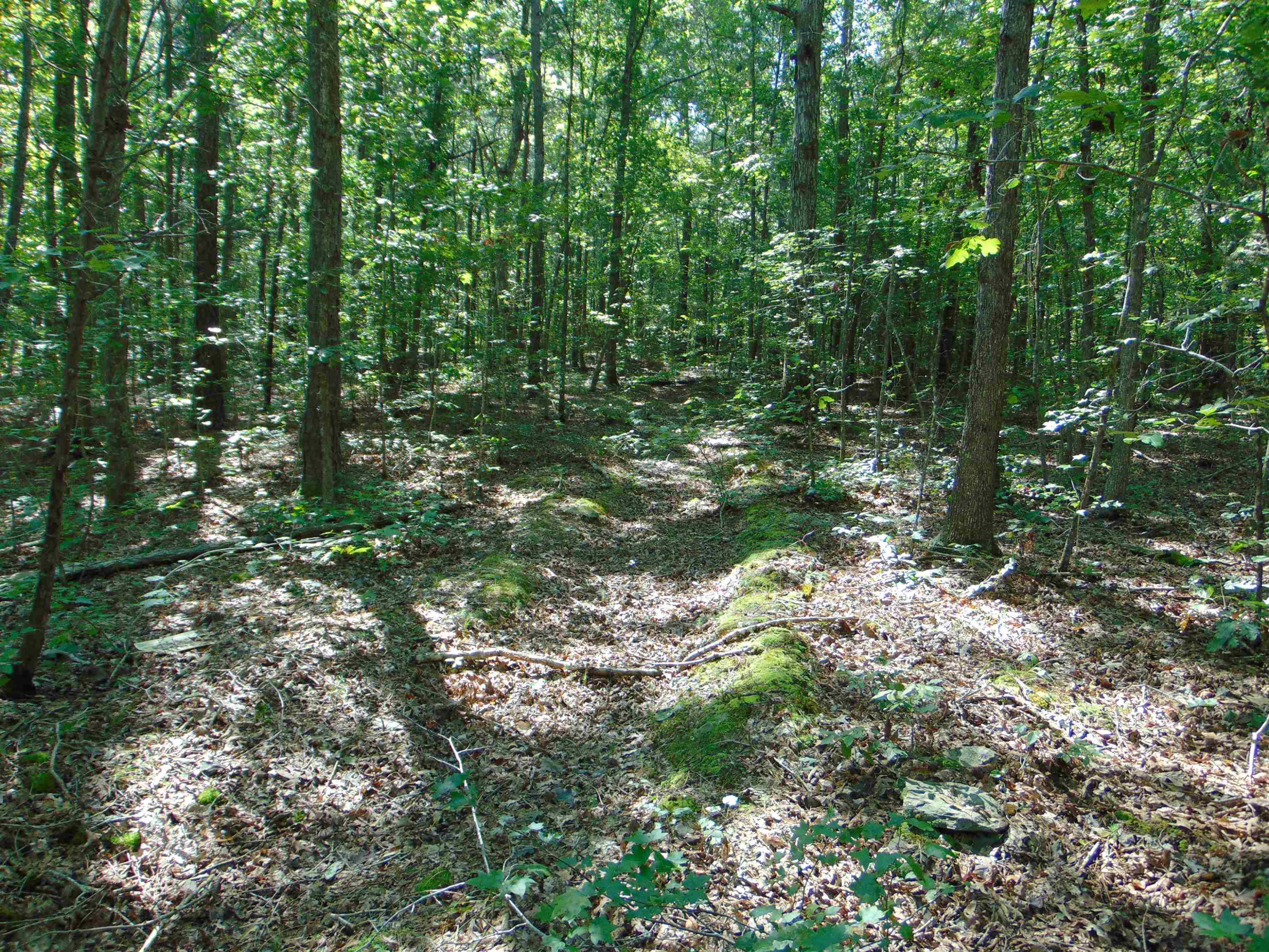 Noel Tuck Road Oxford, NC 27565 - Photo 11 of 34 Photo 11