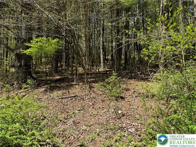 a backyard of a house with lots of green space and chair