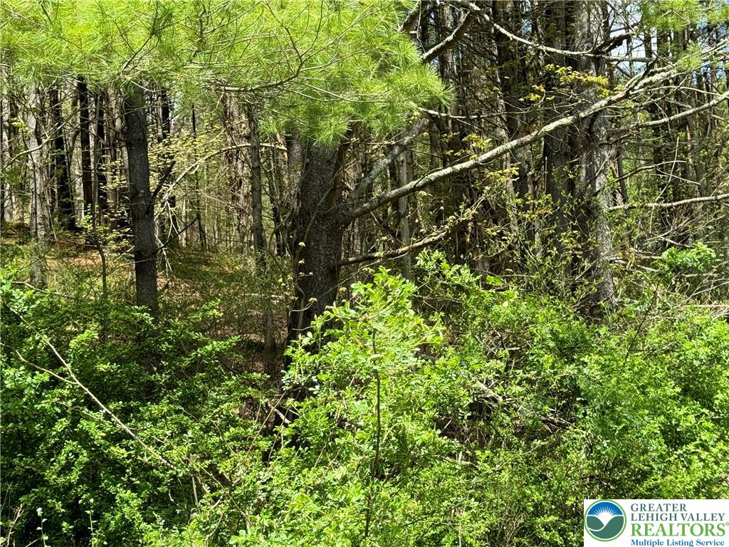 2 Haney Road Kunkletown, PA 18058 - Photo 12 of 12 a view of a yard