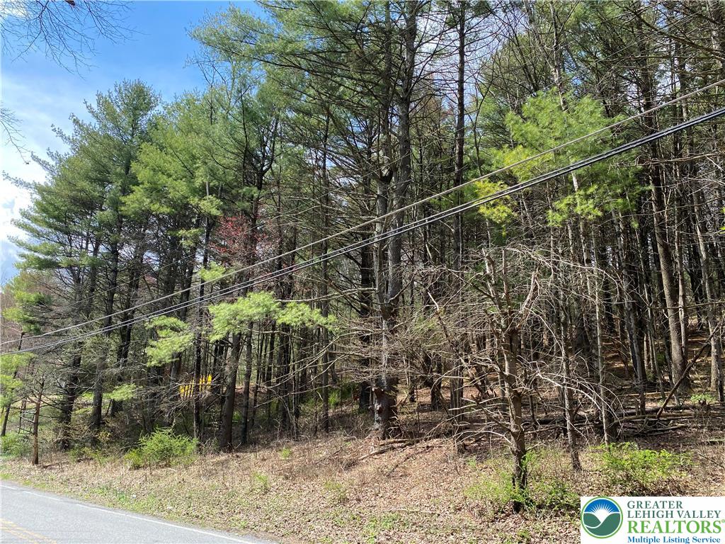 2 Haney Road Kunkletown, PA 18058 - Photo 4 of 12 a view of yard