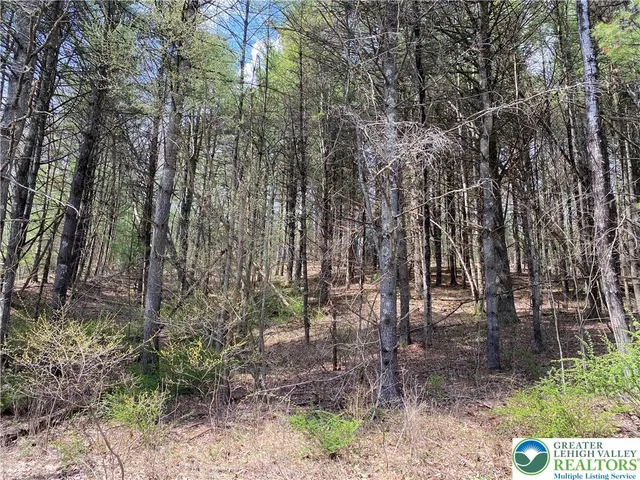 a view of outdoor space and a yard