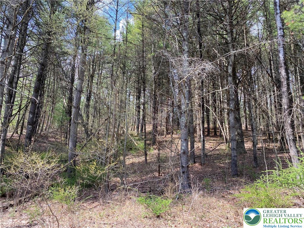 2 Haney Road Kunkletown, PA 18058 - Photo 5 of 12 a view of outdoor space and a yard