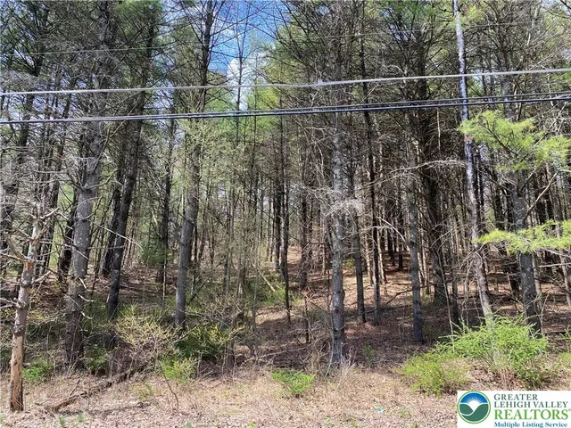 a view of yard with green space