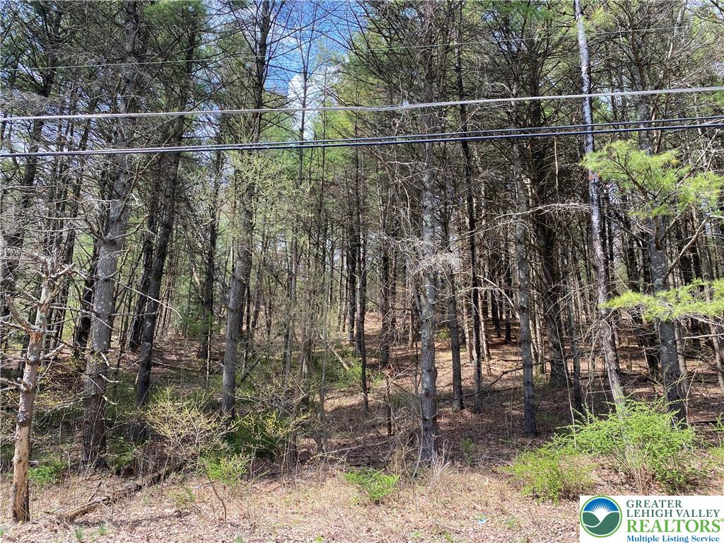 2 Haney Road Kunkletown, PA 18058 - Photo 6 of 12 a view of yard with green space
